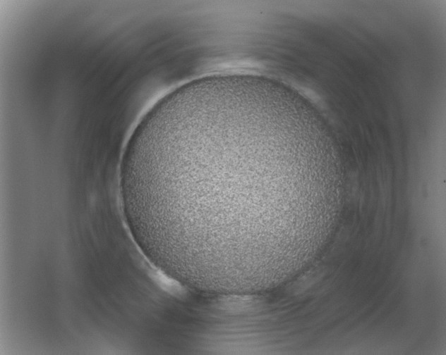 X0000068311470200604241350