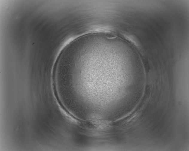 X0000068311471200604241350