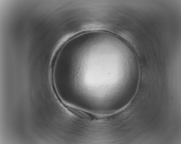 X0000068311472200604241350