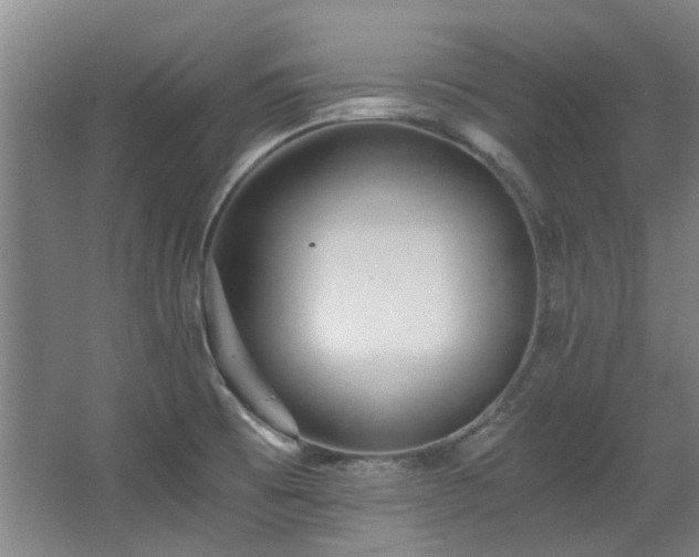 X0000068311473200604241350