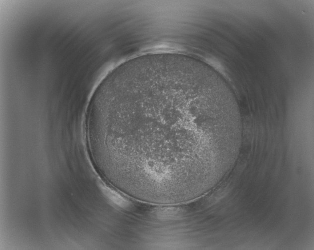 X0000068311474200604241350