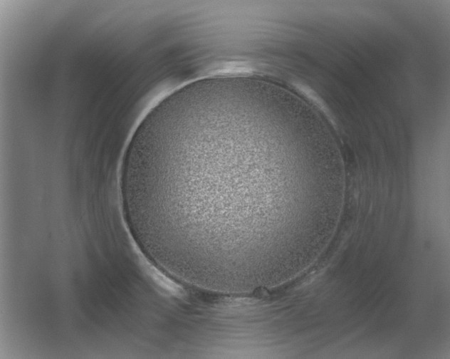 X0000068311475200604241350