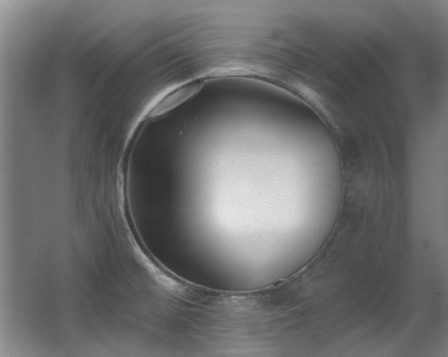 X0000068311476200604241350