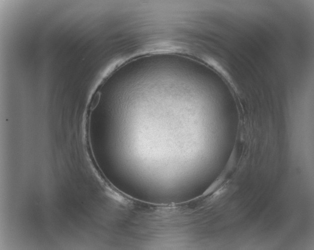 X0000068311477200604241350