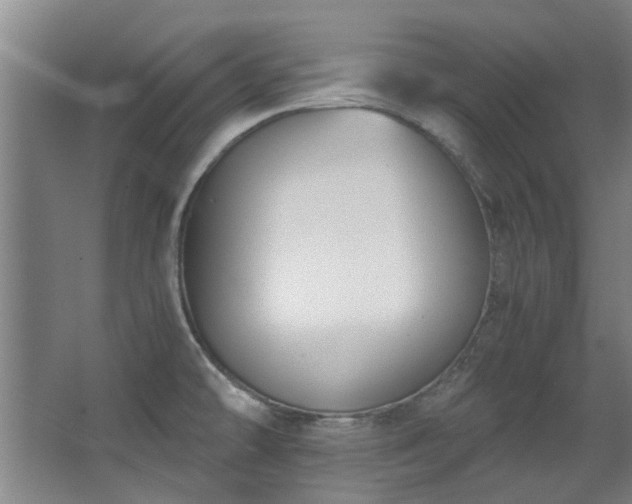 X0000068311478200604241350