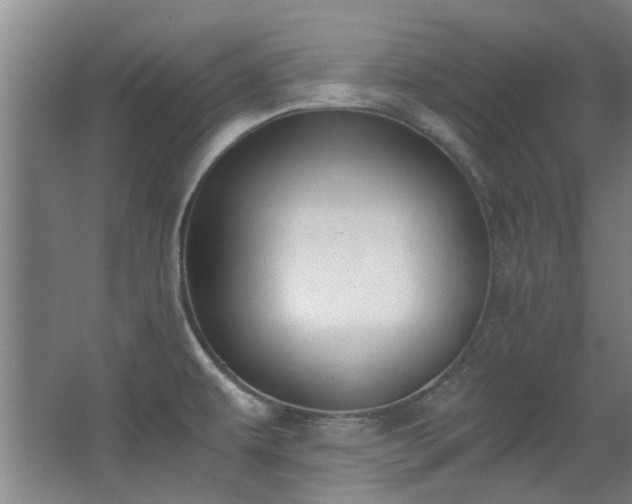 X0000068311479200604241350