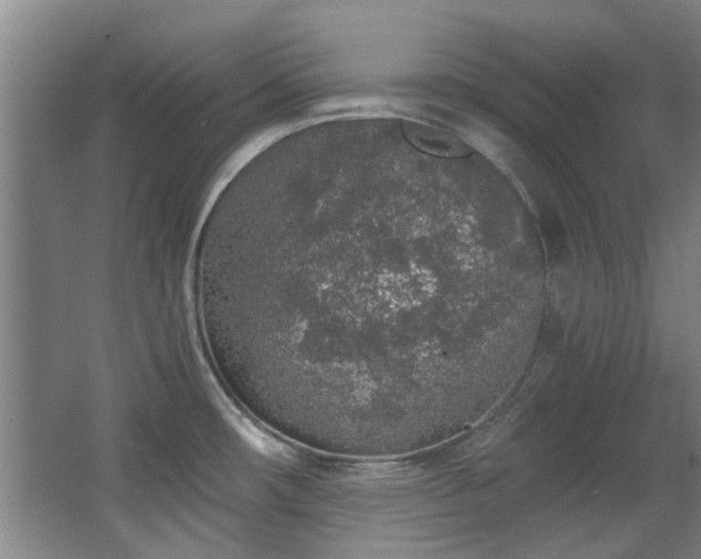 X0000068311482200604241350