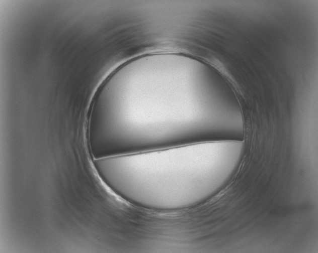 X0000068311484200604241350