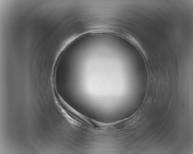 X0000068311485200604241350