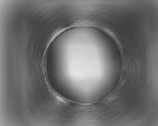 X0000068311486200604241350