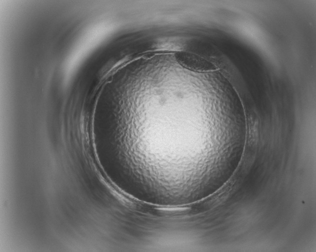 X0000068311487200604241350