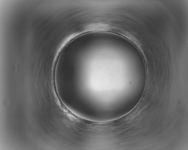 X0000068311488200604241350