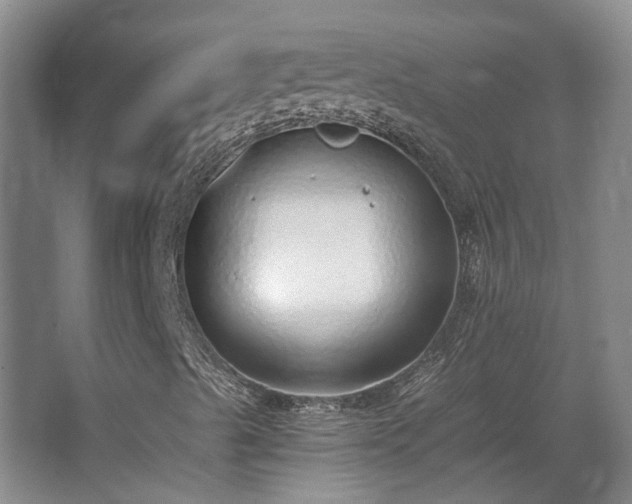 X0000068311489200604241349