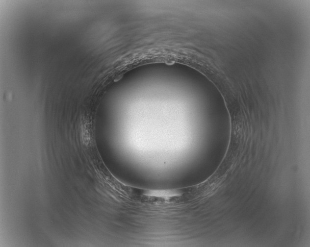 X0000068311490200604241349