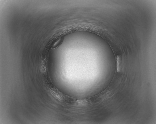 X0000068311491200604241349