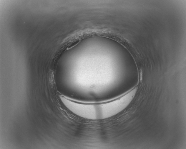 X0000068311492200604241349