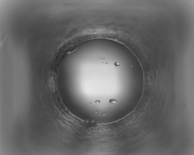 X0000068311493200604241349