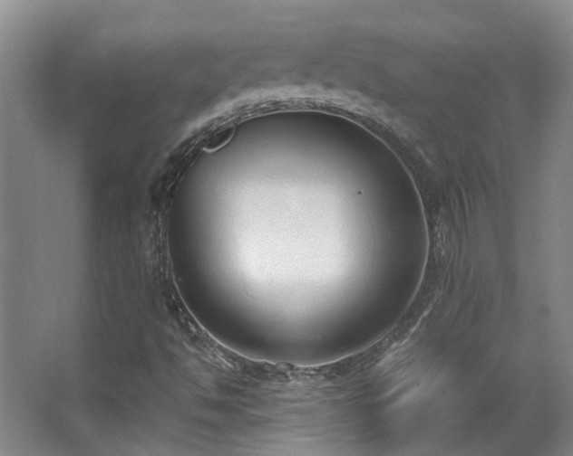 X0000068311494200604241349