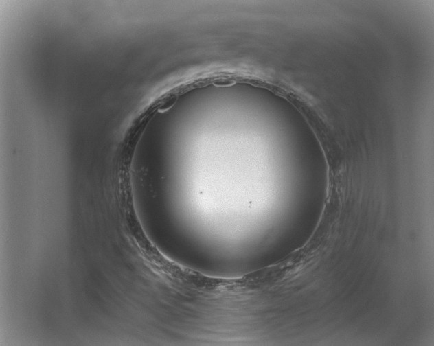 X0000068311496200604241349