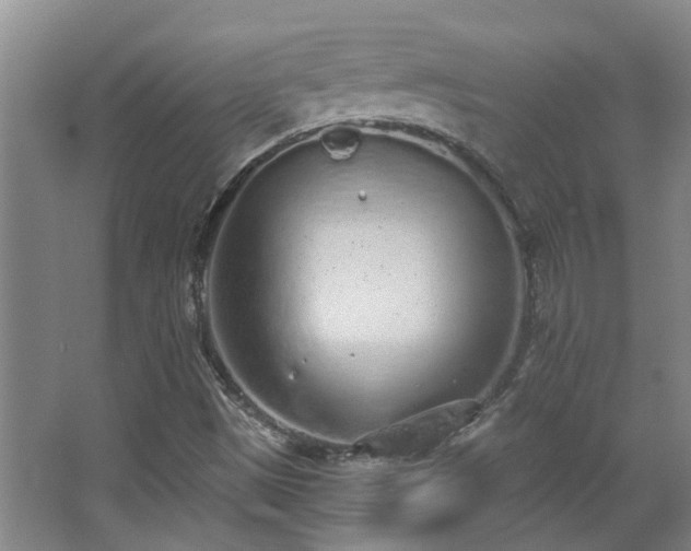 X0000068311497200604241349