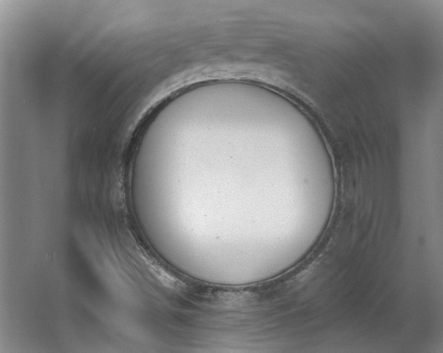 X0000068311498200604241349