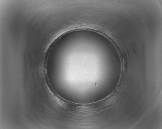 X0000068311500200604241349