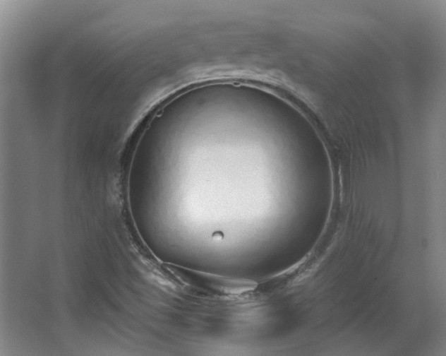 X0000068311501200604241349