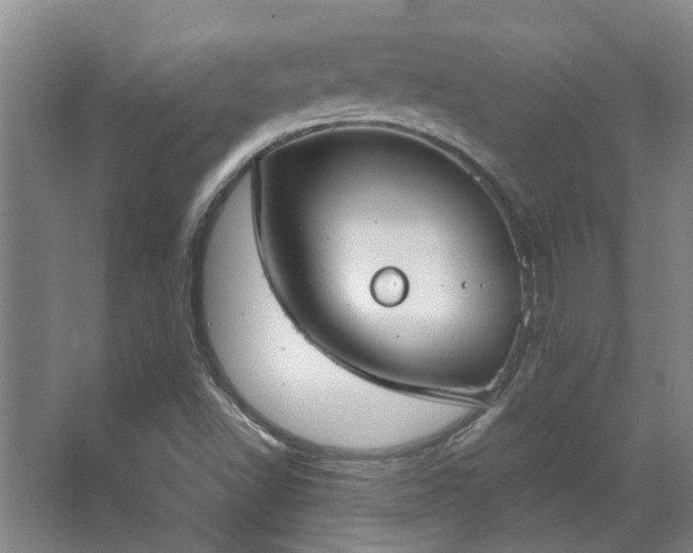 X0000068311502200604241349