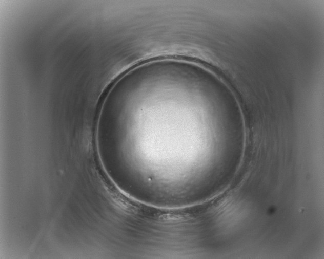 X0000068311505200604241349