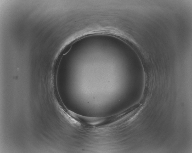 X0000068311506200604241349