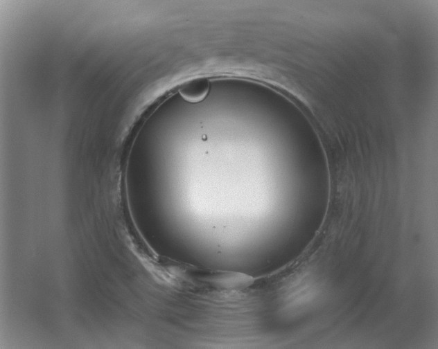 X0000068311507200604241349