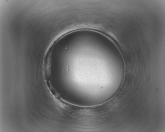 X0000068311508200604241349