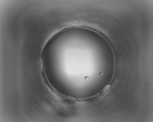 X0000068311509200604241349