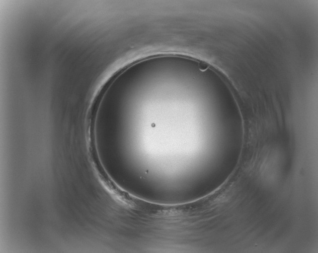 X0000068311511200604241349