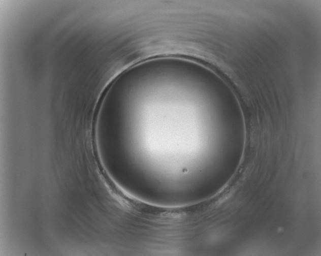 X0000068311513200604241350