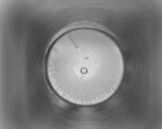 X0000068311514200604241350