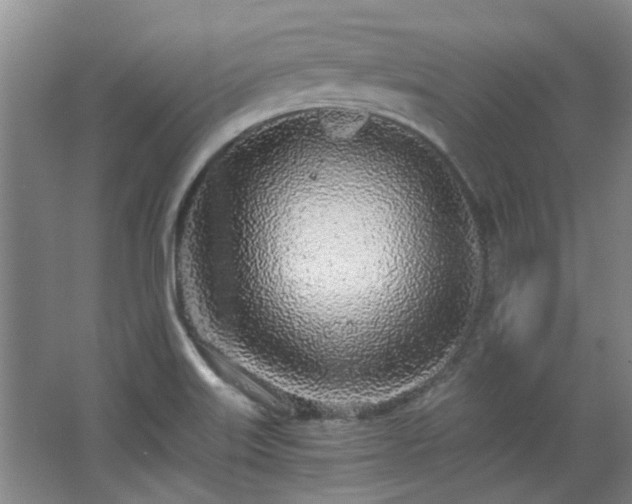 X0000068311515200604241350