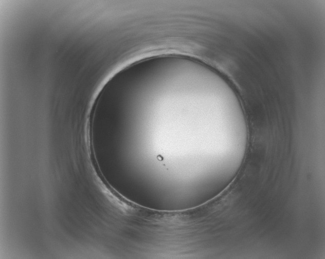 X0000068311516200604241350