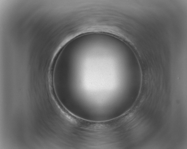 X0000068311517200604241350