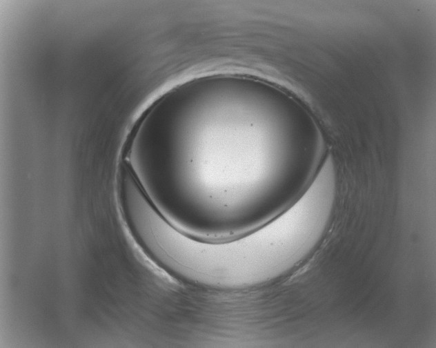 X0000068311518200604241350