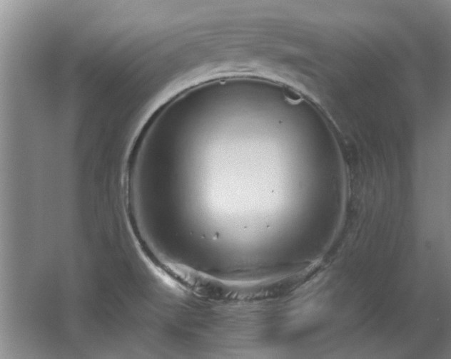 X0000068311519200604241350