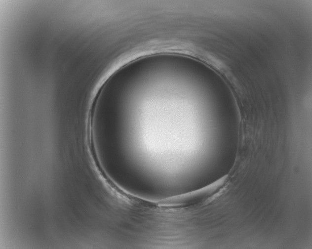 X0000068311520200604241350