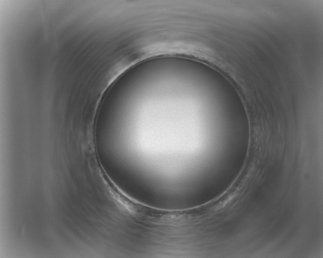 X0000068311521200604241350