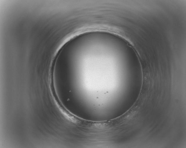 X0000068311523200604241350