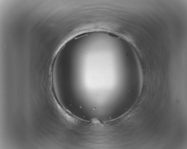 X0000068311524200604241350