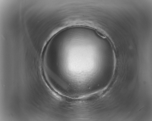 X0000068311525200604241350