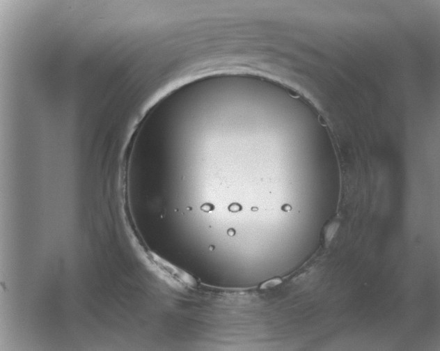 X0000068311526200604241350