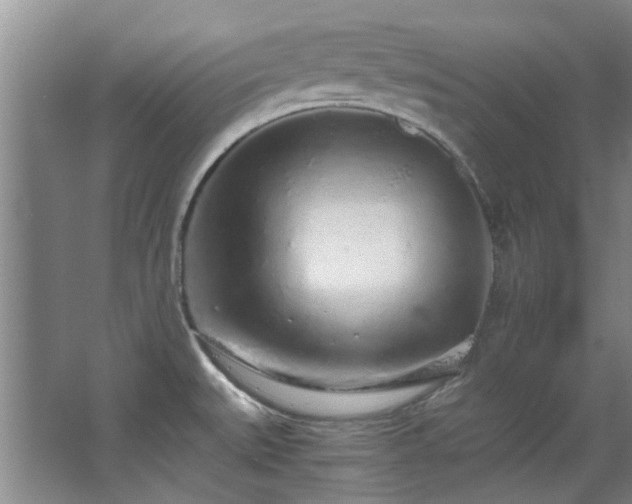 X0000068311527200604241350