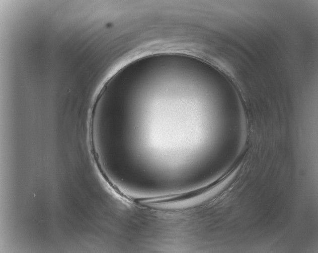 X0000068311528200604241350