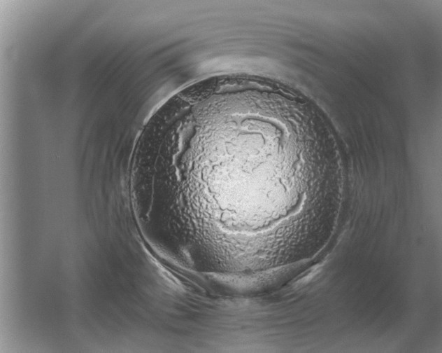 X0000068311529200604241350